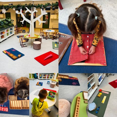 WhatsApp Image 2026-01-30 at 15.30.32